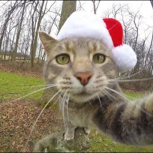 Meet your Posher, Lexie